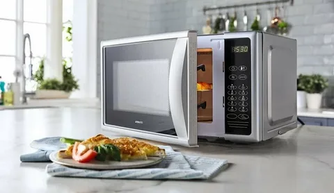 تصليح الميكروويف