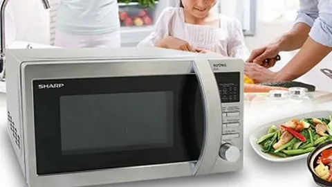 صيانة الميكرويف